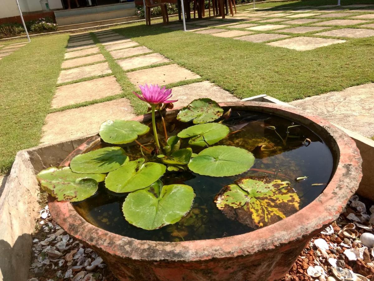 วิสทเลอร์ เวฟส์ บีช รีสอร์ต Hotel Anjarle ภายนอก รูปภาพ